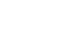 نظام صنفی رایانه‌ای